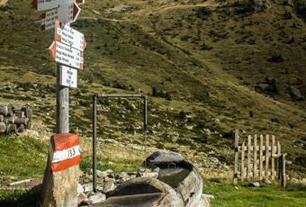 The Aldo Bonacossa Trail