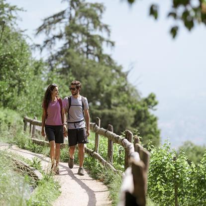 The Waalweg Trail of Marling