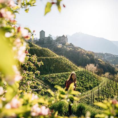 Holidays in Dorf Tirol in South Tyrol