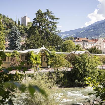 Merano Tree Days